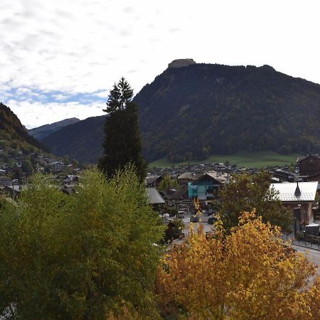 Appartement 2 Pieces, Proche Ecole De Ski, Animaux Admis, Balcon - Fr-1-524-79 Morzine Exteriör bild